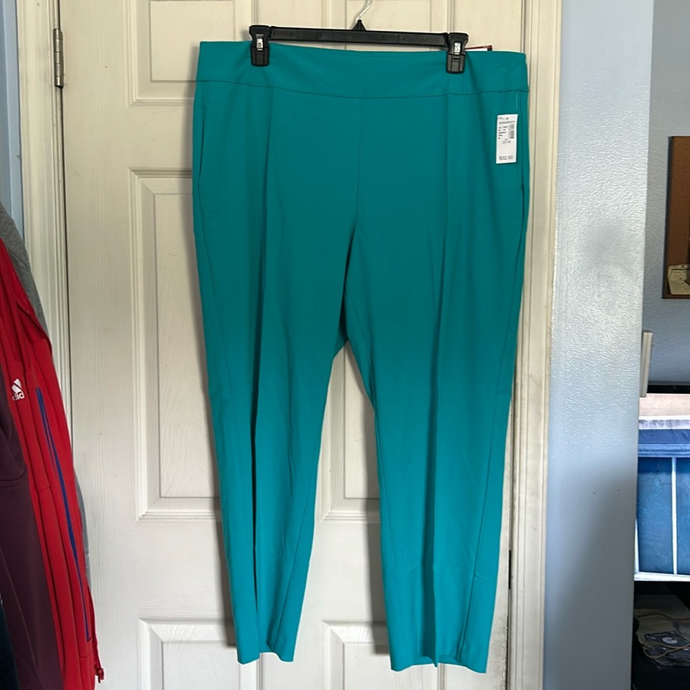 NWT Roz & Ali turquoise secret agent short trouser pants size 20W